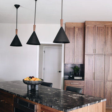Modern Kitchen Remodel Lenexa, KS
