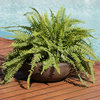Sunnydaze Percival Outdoor Flower Pot Planter - Sable Finish - 21-Inch - 2-Pack