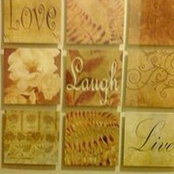 Ann Bargy's photo