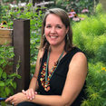 Molly Scott Exteriors, LLC's profile photo