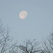 Diane Orado's photo