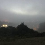 Nancy Shoesmith's photo