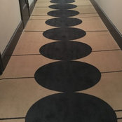 Shannon Mery's photo