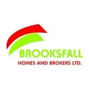 Brooks Falls foto