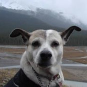 Tannis Sharp's photo