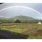 Roberta Simpkins's photo