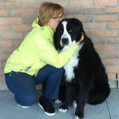 Diane Lussier's photo
