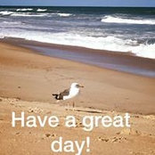 Rhonda Kessinger's photo