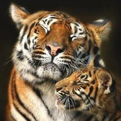 Tandy Byrd's photo