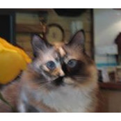 Anne Faught's photo