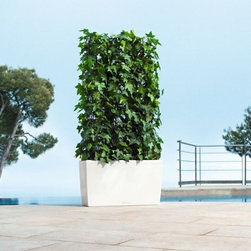 Cararo Premium 75  Lechuza - Indoor Pots And Planters