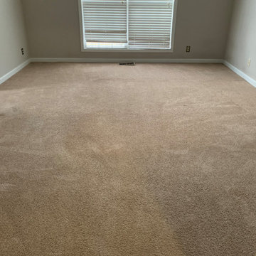 Carpet Cleaning
