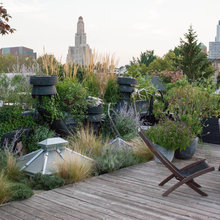 rooftop gardens