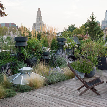 FORT GREENE ROOF GARDEN