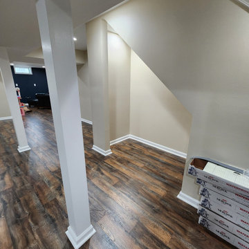 Basement Finish with Full bathroom addition and Office