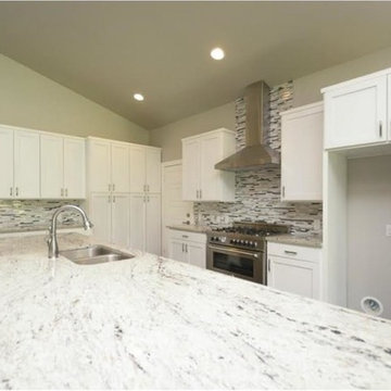 Transitional Gut Renovation and Addition