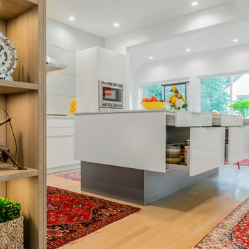 Modern modes in an eclectic Brookline, MA abode