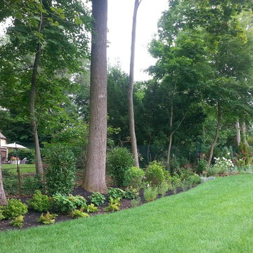 Backyard informal perennial border