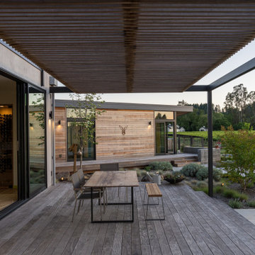 Vineyard Oasis