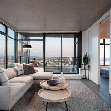 Living Room - Transitional