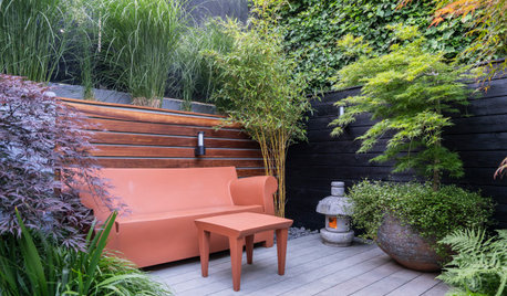 Patio of the Week: Calm Japanese-Style Haven in the City