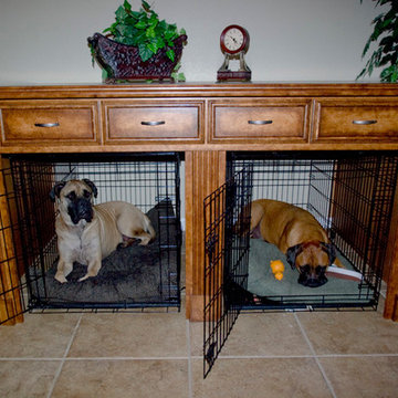 In the Dog House