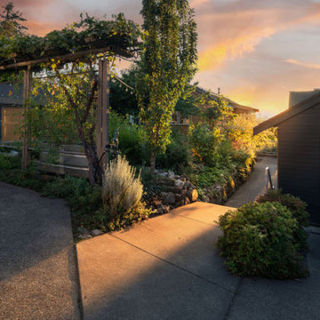 Anderson Gardens, 20 Years Later
