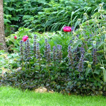 A l'ombre des murs
