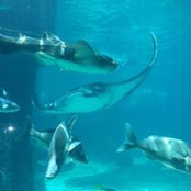 Roxanne Klopp's photo