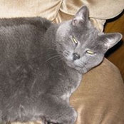 Diane Marr's photo