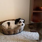 Gretchen Lager's photo