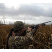 Susan Busbee's photo