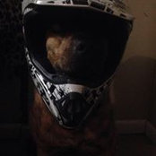 Justin Lampron's photo