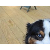 Amanda Applegate's photo