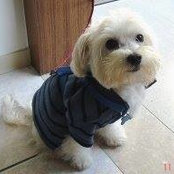 Michelle Hwang's photo