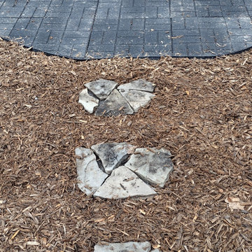 Regina's Dog-Friendly Yard