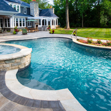 Naperville, IL Freeform Swimming Pool with Raised Hot Tub