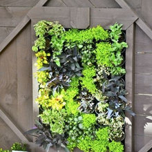 Garden Ideas