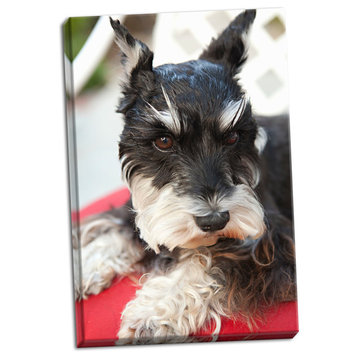 Fine Art Photograph, Terrier, Hand-Stretched Canvas