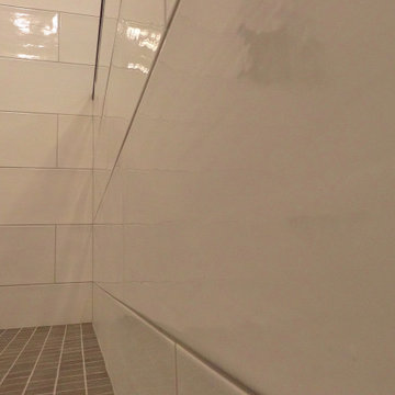 Greendale Residence - Master and Main Bath Remodel