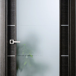 Modern Interior Single Door Italian Black Apricot with Frosted Glass - Interior Doors