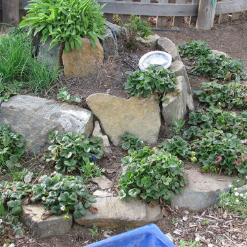 Herbal Spirals Flagstone