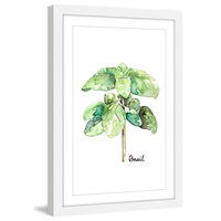 "Herb Basil" Framed Print by Rachel Byler