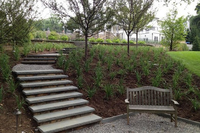Inspiration for a contemporary landscaping in New York.