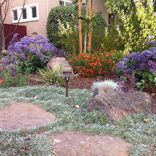 Landscape Ideas