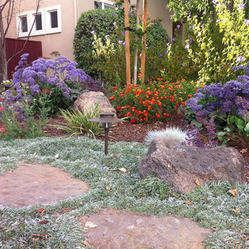 New Front Yard