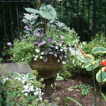 Fabulous Container Gardens