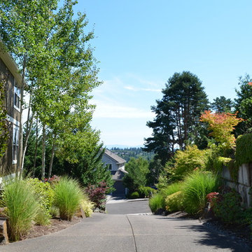 Felida Residence