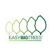 Easy Big Trees Easy Big Trees