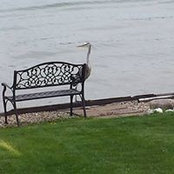 Foto von Sara Kilgren
